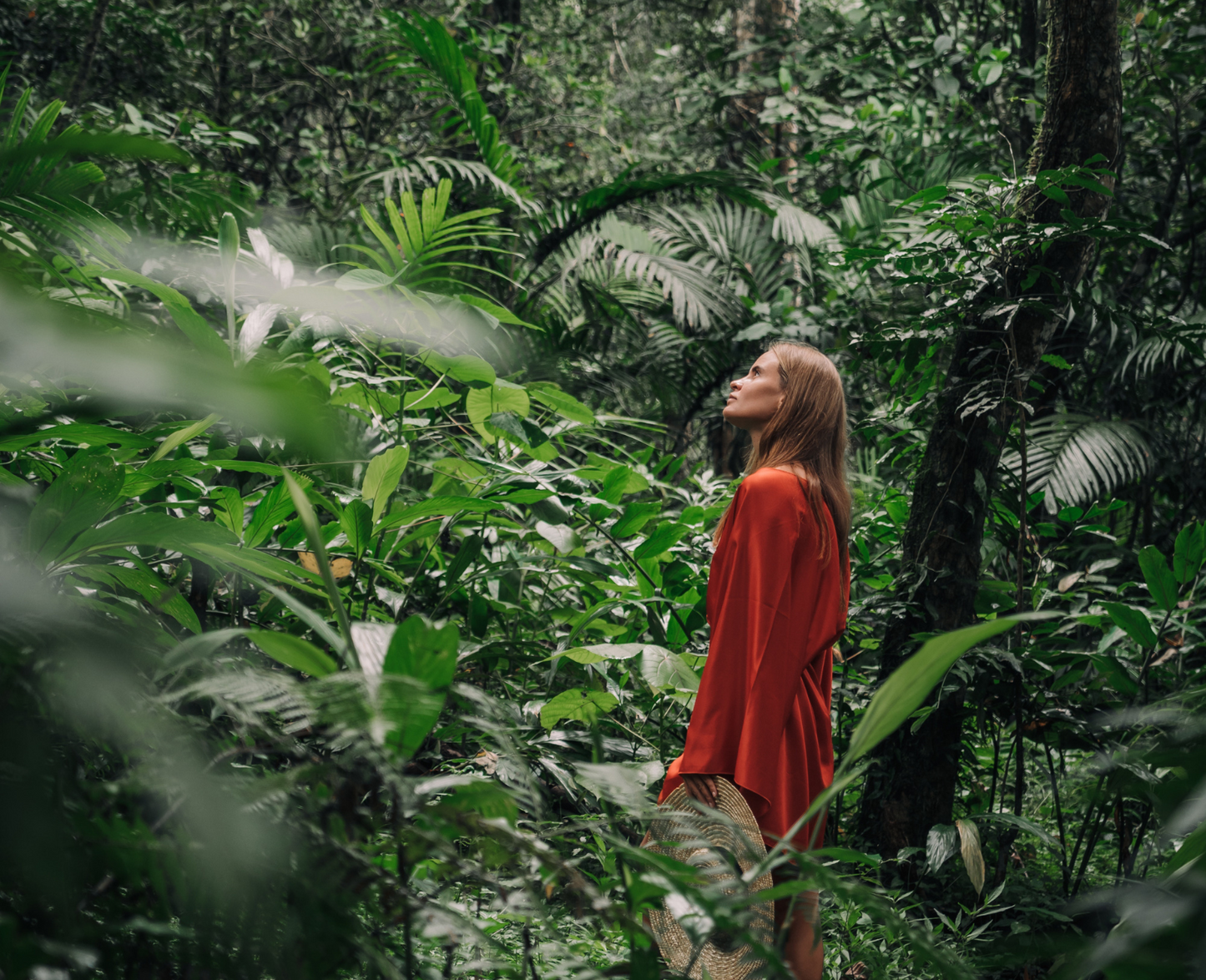 Protecting Nature For Our Own Good