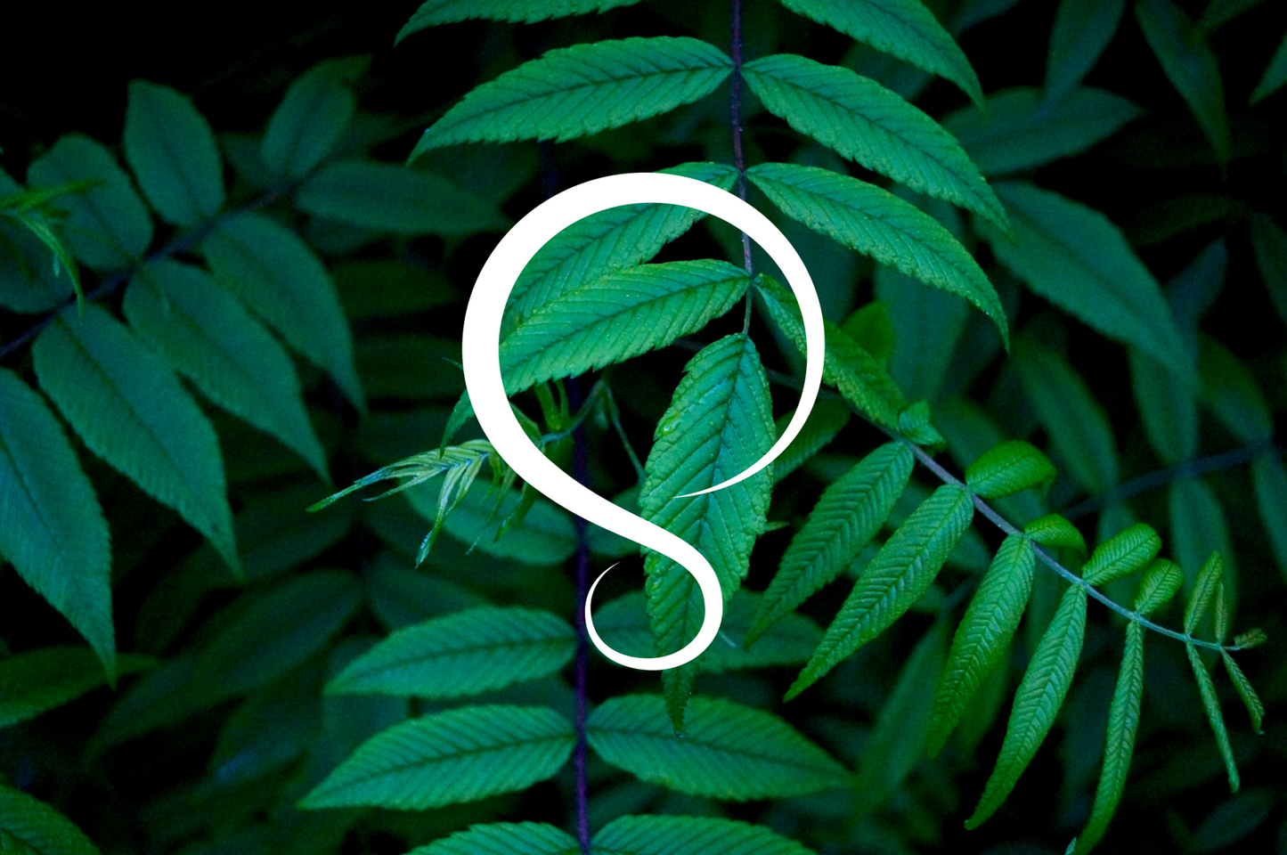 Silverwood® Jewellery Gift Card - Silverwood Jewellery